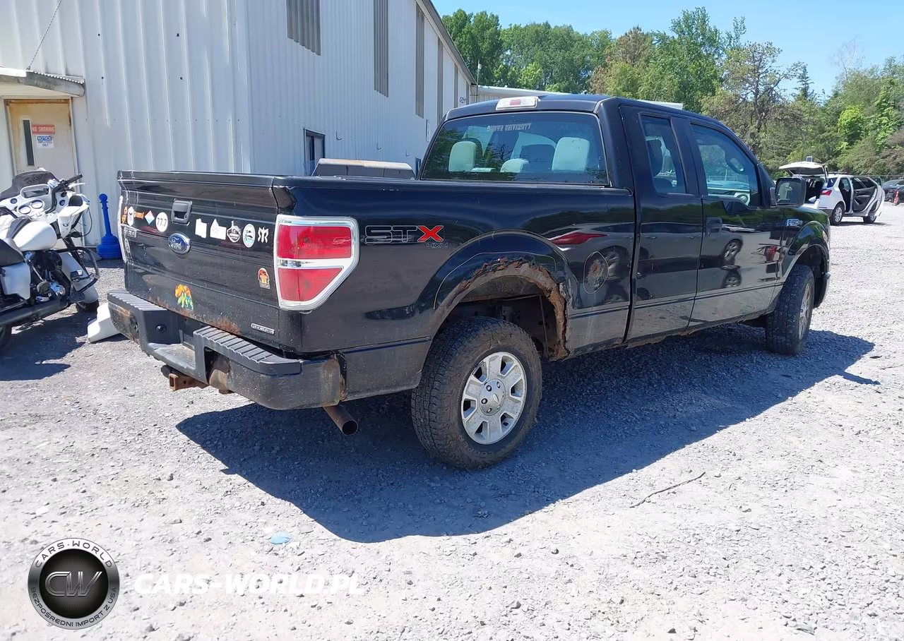 2013 Ford F-150 Stx VIN:1FTEX1EMXDKE95630 - 4