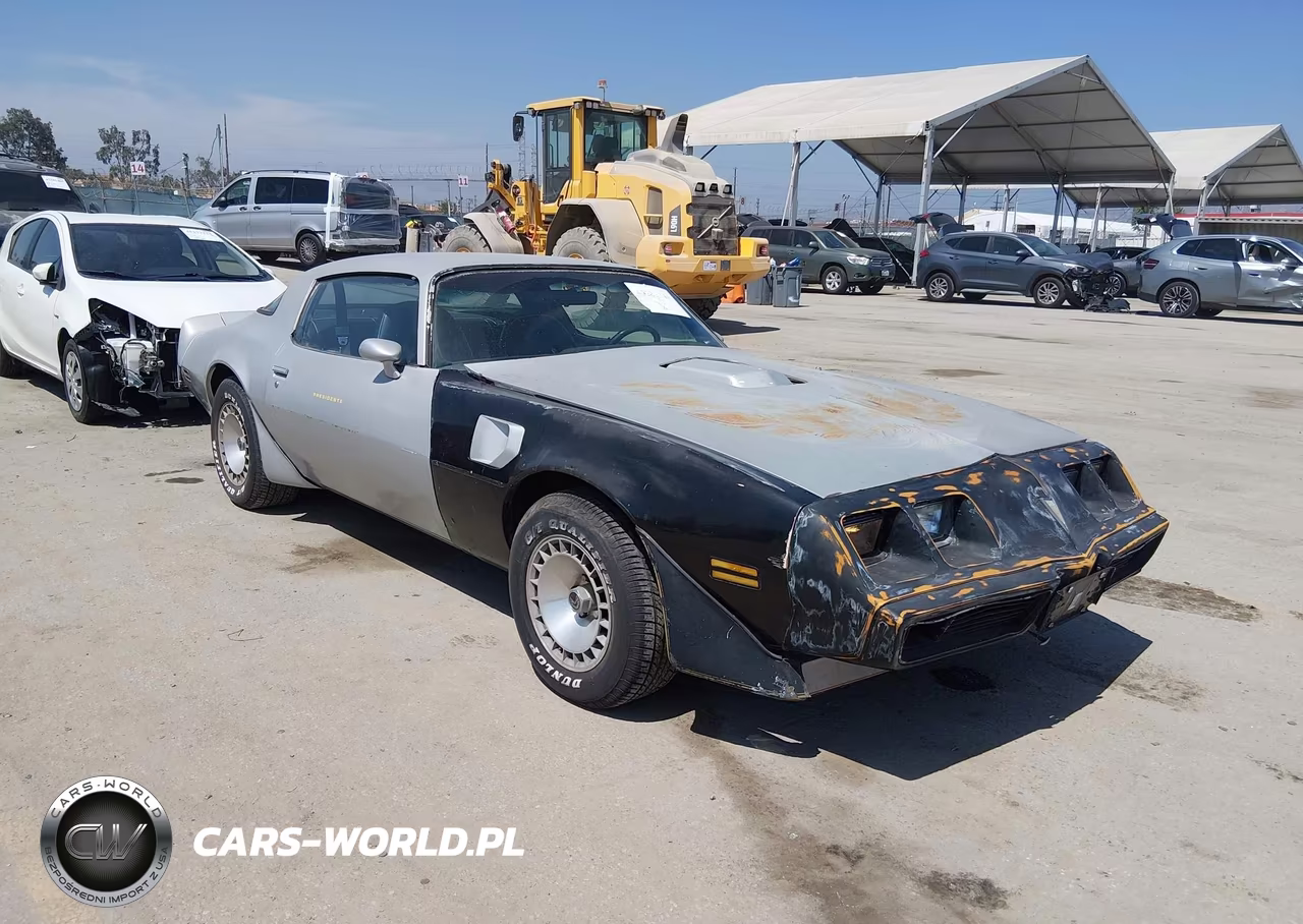 1981 Pontiac Firebird Trans Am