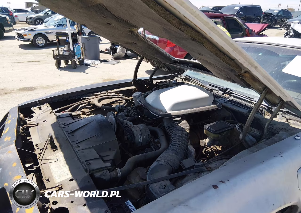 1981 Pontiac Firebird Trans Am VIN:1G2AW87W1BL109925 - 10
