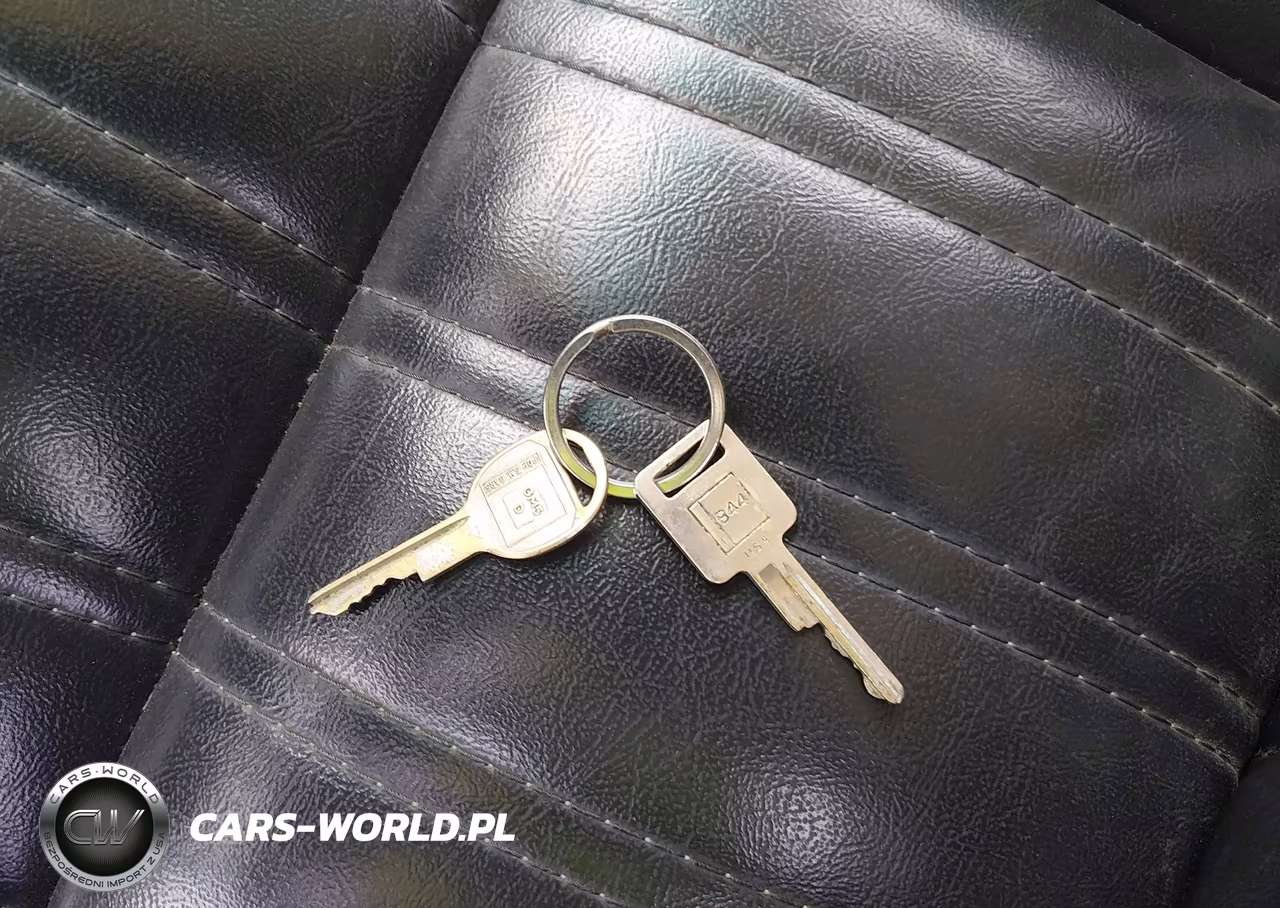 1981 Pontiac Firebird Trans Am VIN:1G2AW87W1BL109925 - 11