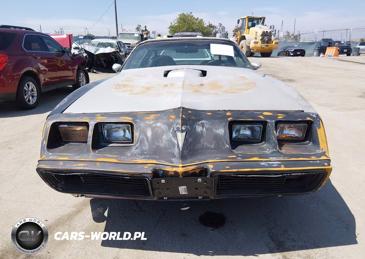 1981 Pontiac Firebird Trans Am VIN:1G2AW87W1BL109925 - 12