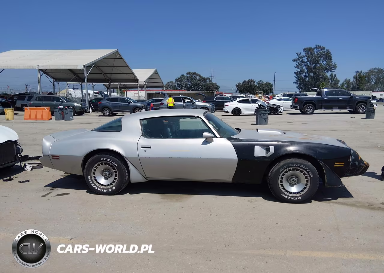 1981 Pontiac Firebird Trans Am VIN:1G2AW87W1BL109925 - 13