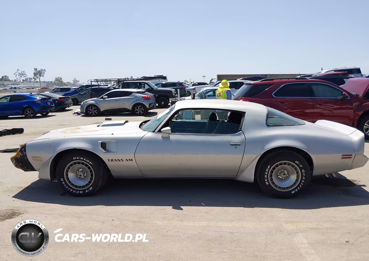 1981 Pontiac Firebird Trans Am VIN:1G2AW87W1BL109925 - 14