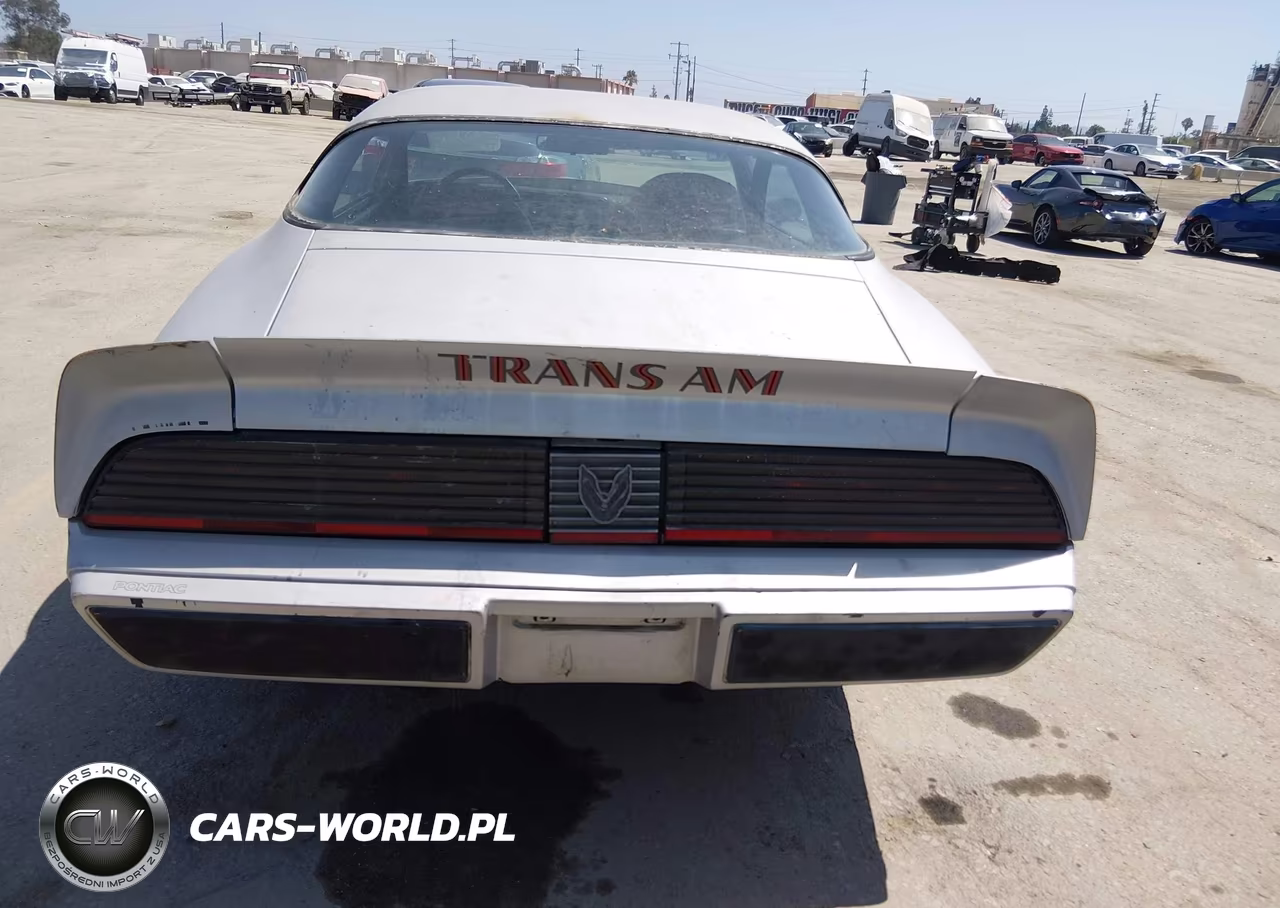 1981 Pontiac Firebird Trans Am VIN:1G2AW87W1BL109925 - 16