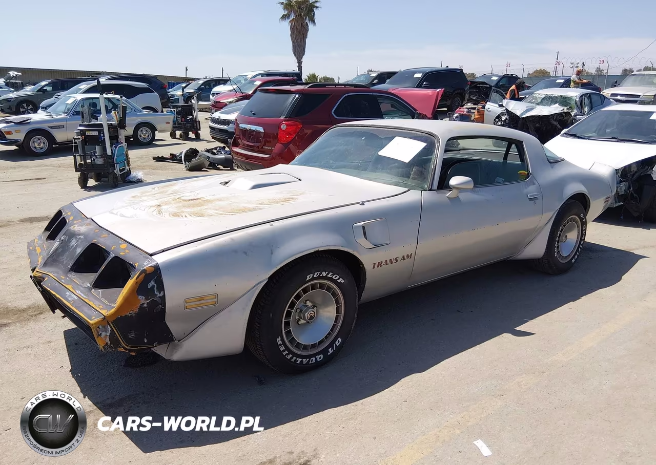 1981 Pontiac Firebird Trans Am VIN:1G2AW87W1BL109925 - 2