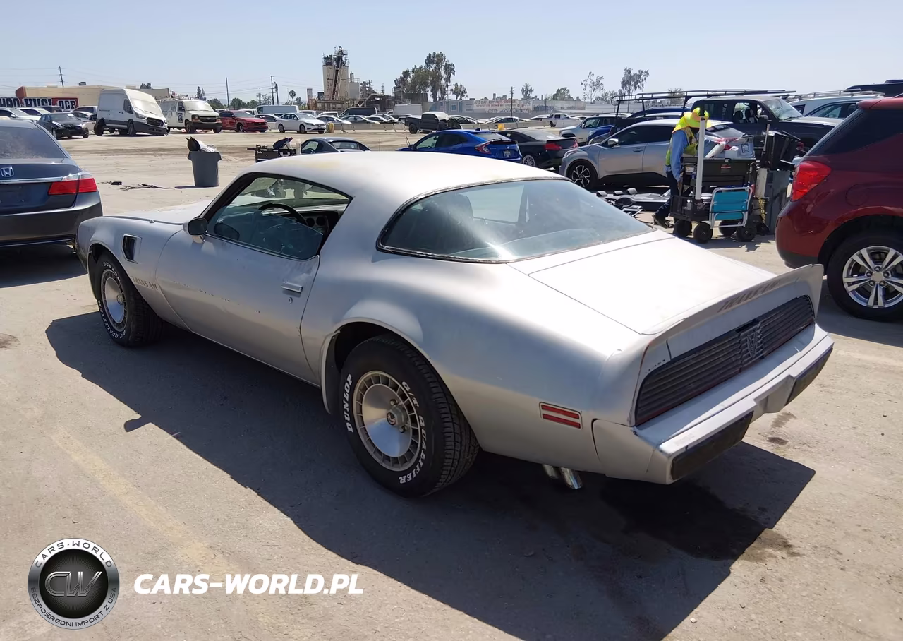 1981 Pontiac Firebird Trans Am VIN:1G2AW87W1BL109925 - 3