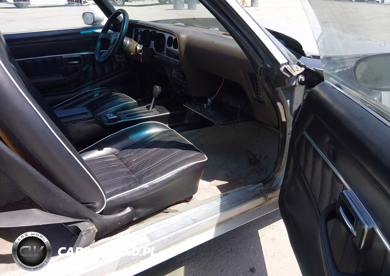 1981 Pontiac Firebird Trans Am VIN:1G2AW87W1BL109925 - 5