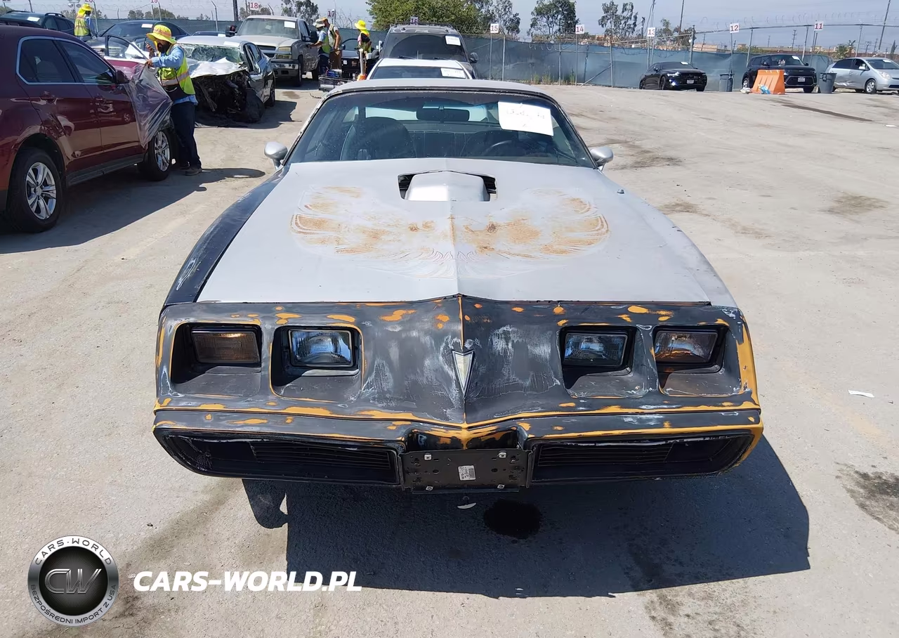 1981 Pontiac Firebird Trans Am VIN:1G2AW87W1BL109925 - 6