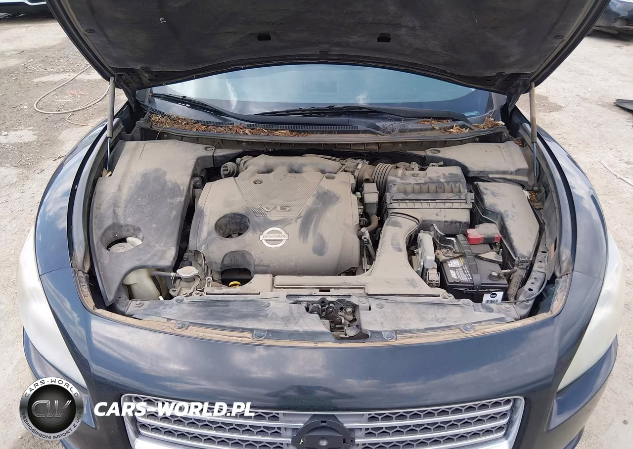 2009 Nissan Maxima 3.5 Sv VIN:1N4AA51E49C808829 - 10