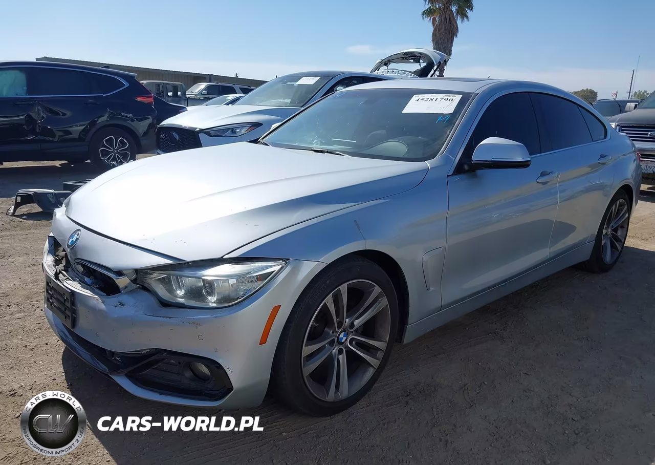 2016 BMW 428I Gran Coupe VIN:WBA4A9C5XGG505309 - 2