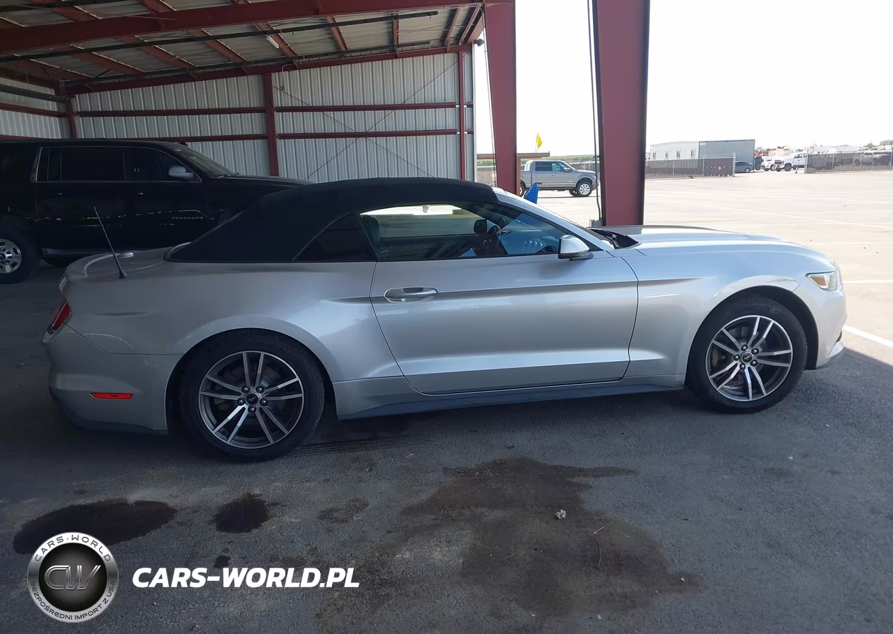2017 Ford Mustang Ecoboost Premium VIN:1FATP8UH7H5295173 - 13