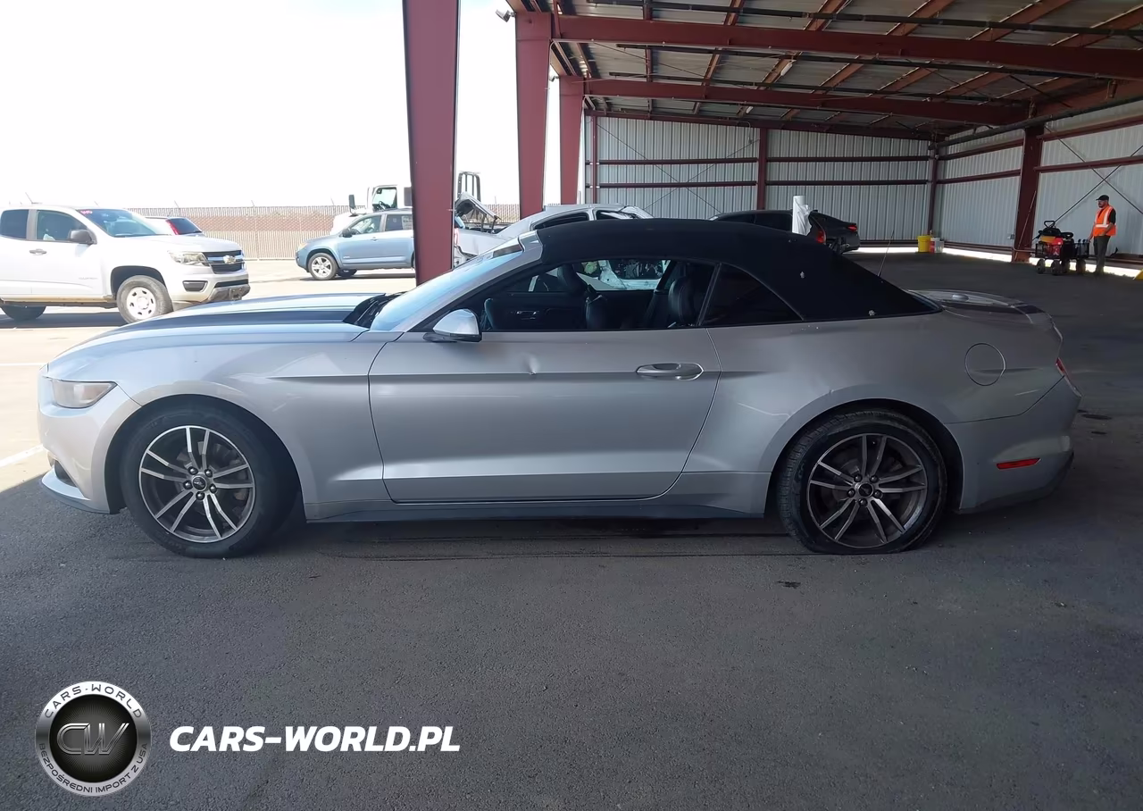 2017 Ford Mustang Ecoboost Premium VIN:1FATP8UH7H5295173 - 14