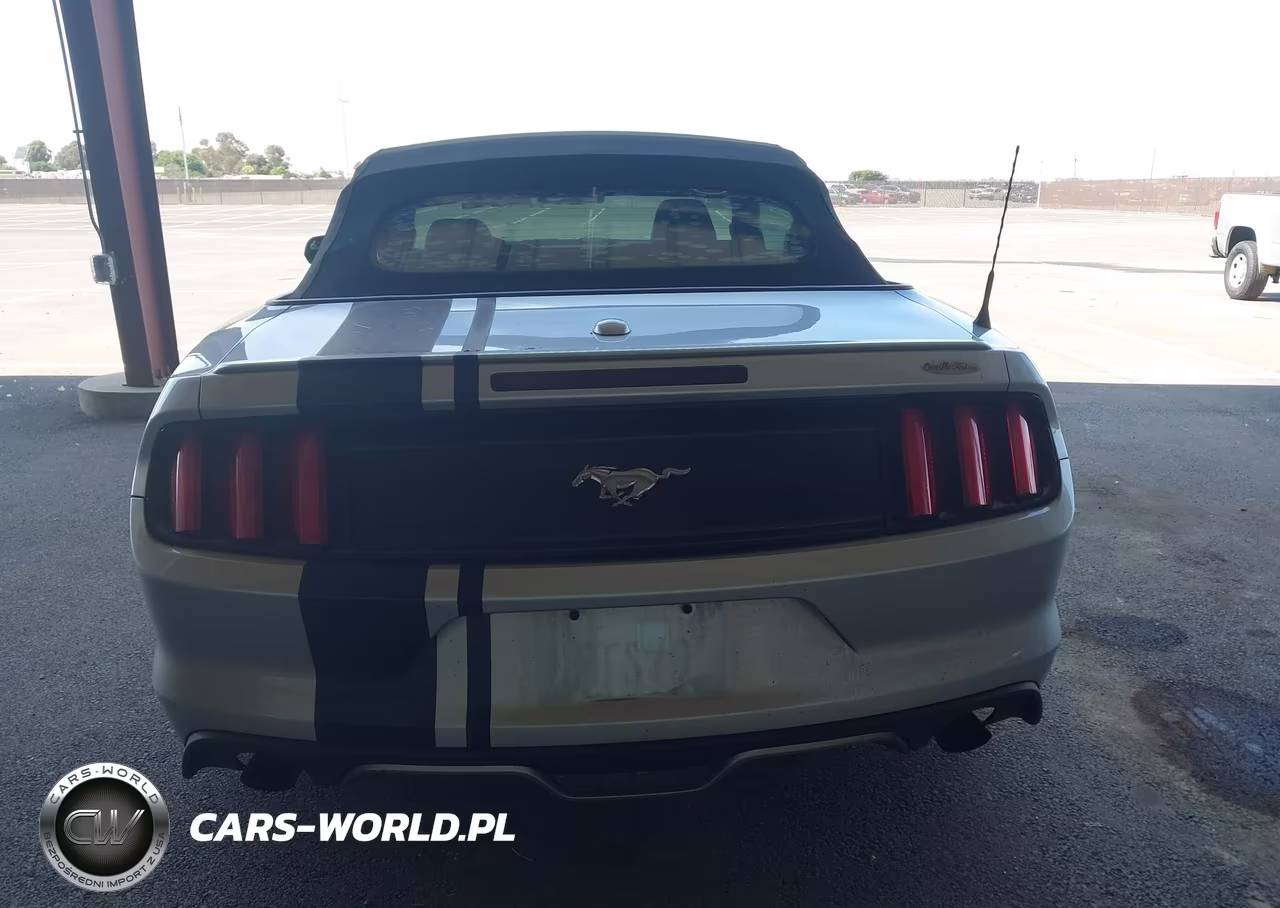 2017 Ford Mustang Ecoboost Premium VIN:1FATP8UH7H5295173 - 16