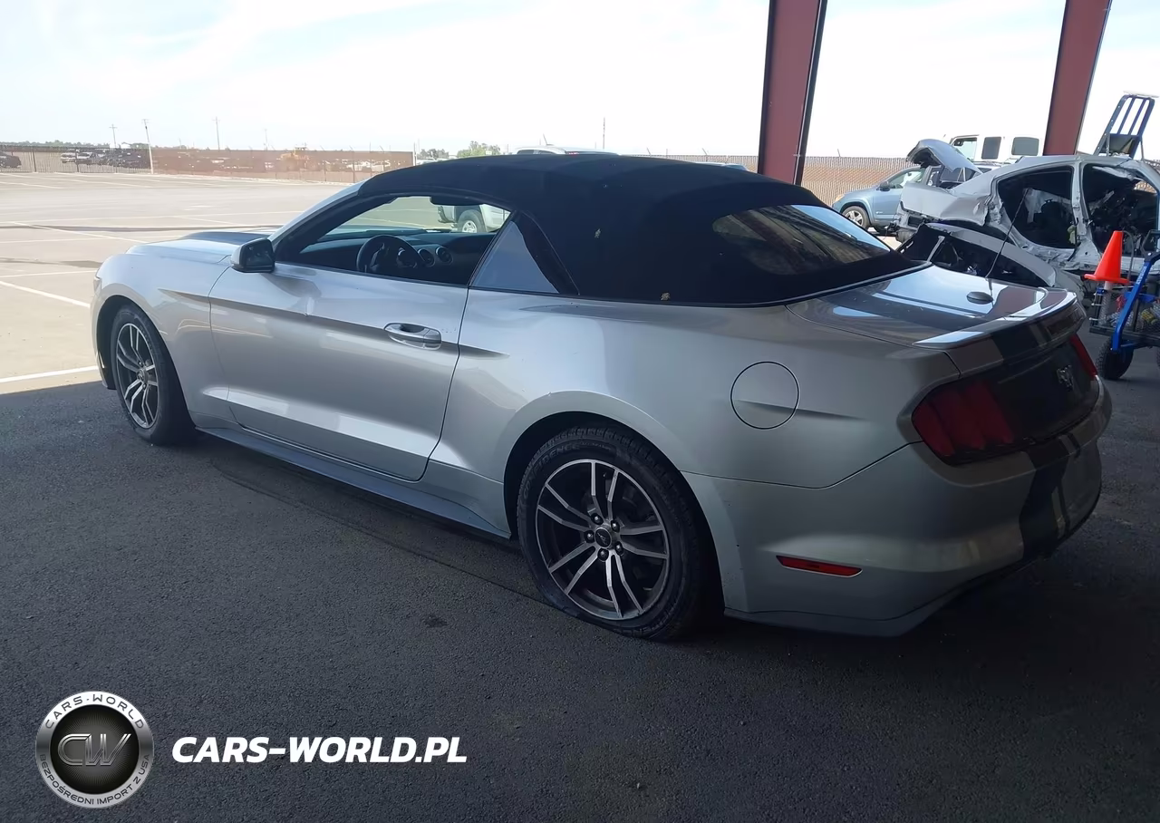 2017 Ford Mustang Ecoboost Premium VIN:1FATP8UH7H5295173 - 3