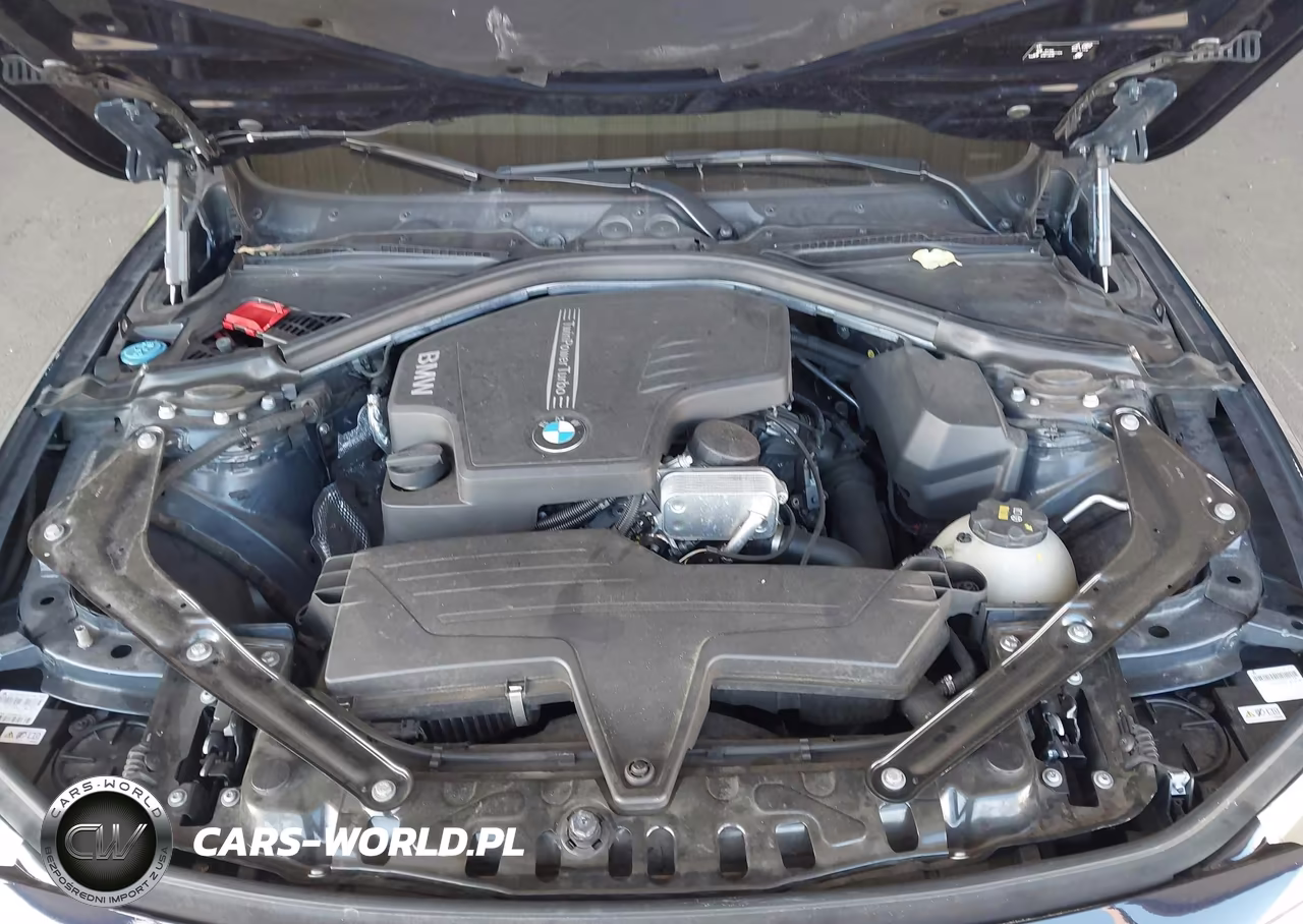 2016 BMW 428I VIN:WBA3V7C56G5A28915 - 10