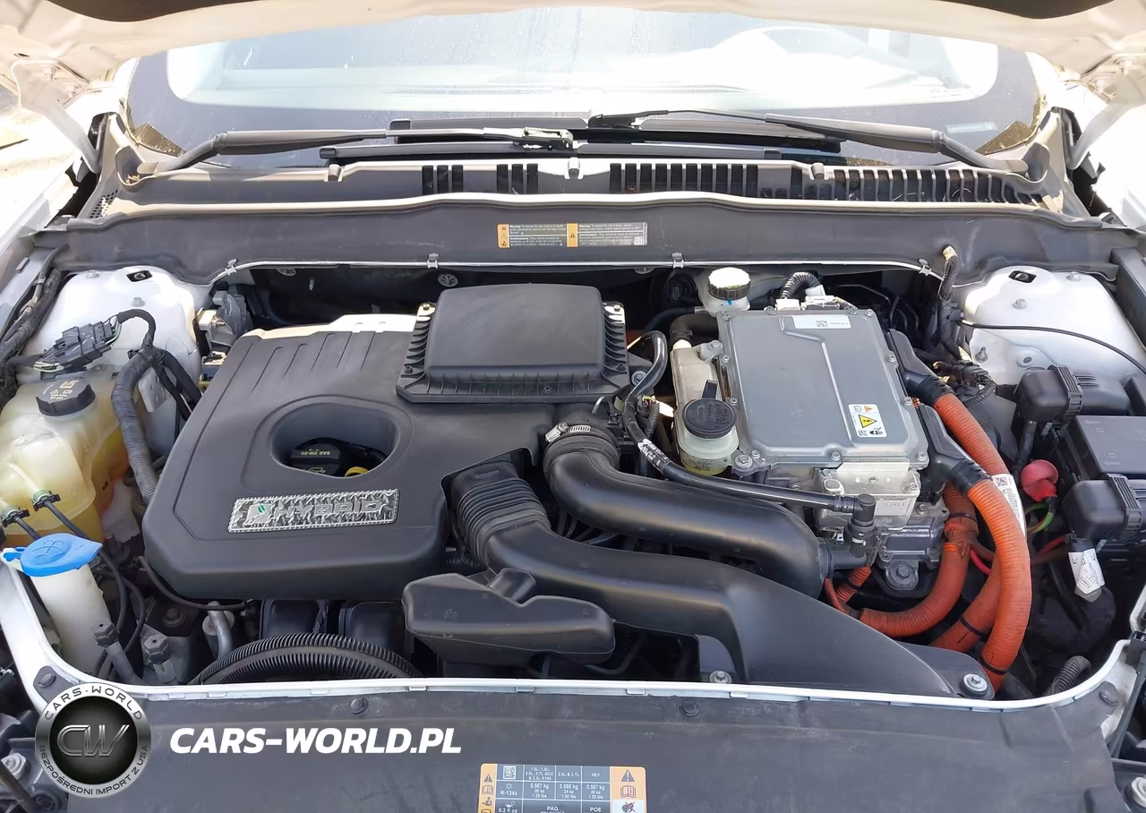 2014 Ford Fusion Hybrid Titanium VIN:3FA6P0RU8ER203534 - 10