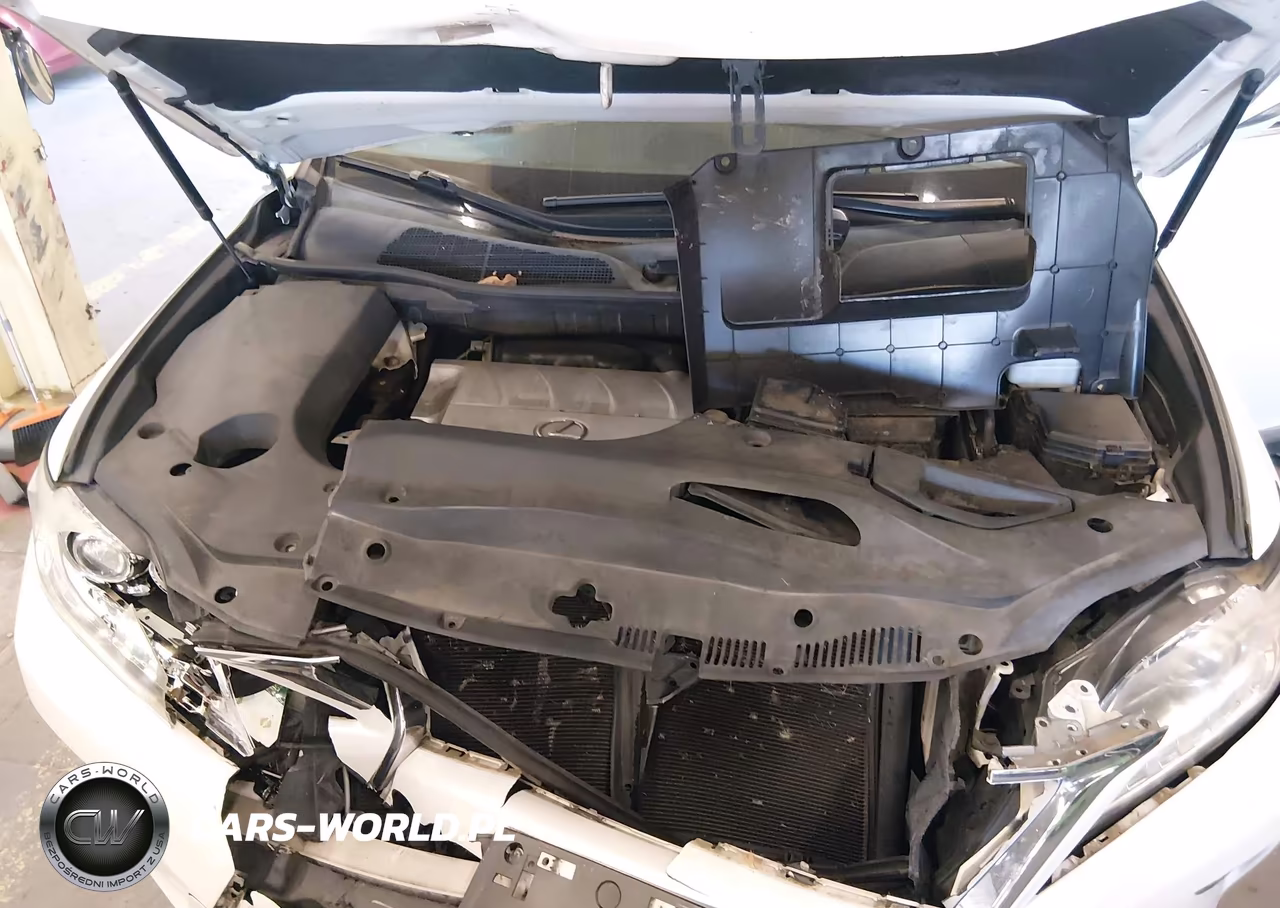 2014 Lexus Rx 350 Base VIN:2T2BK1BA7EC241447 - 10
