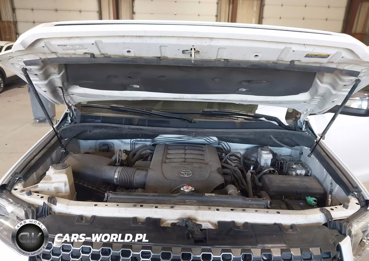 2019 Toyota Tundra Platinum 5.7L V8 VIN:5TFAY5F17KX802453 - 10