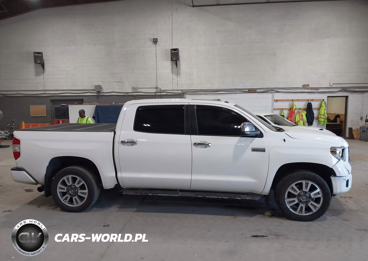 2019 Toyota Tundra Platinum 5.7L V8 VIN:5TFAY5F17KX802453 - 13