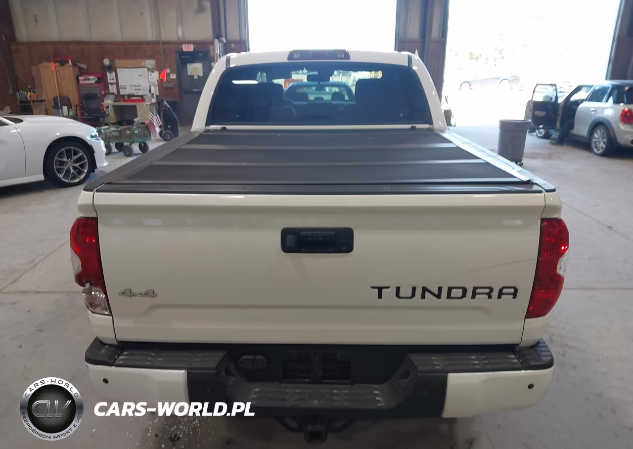 2019 Toyota Tundra Platinum 5.7L V8 VIN:5TFAY5F17KX802453 - 16