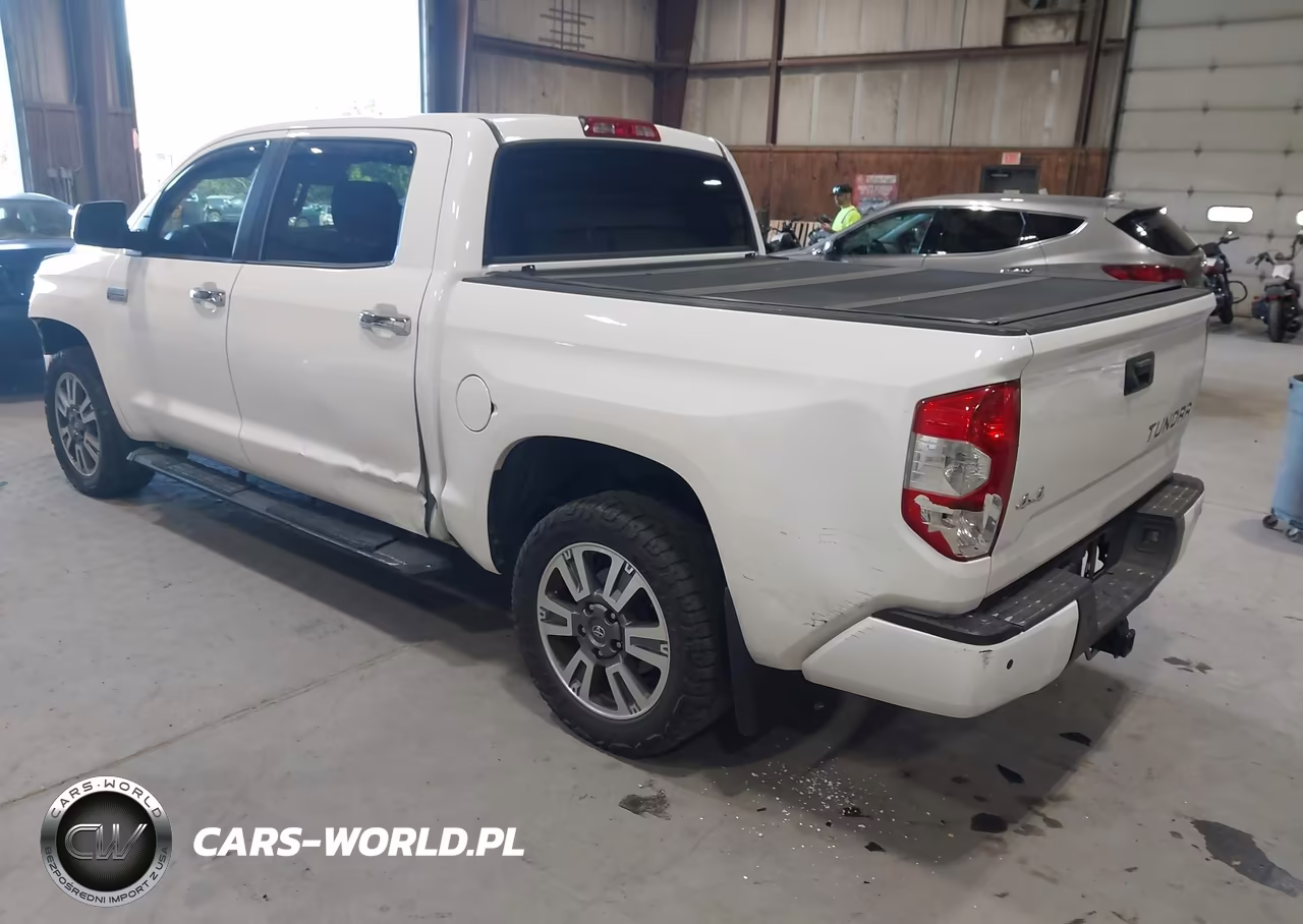 2019 Toyota Tundra Platinum 5.7L V8 VIN:5TFAY5F17KX802453 - 3