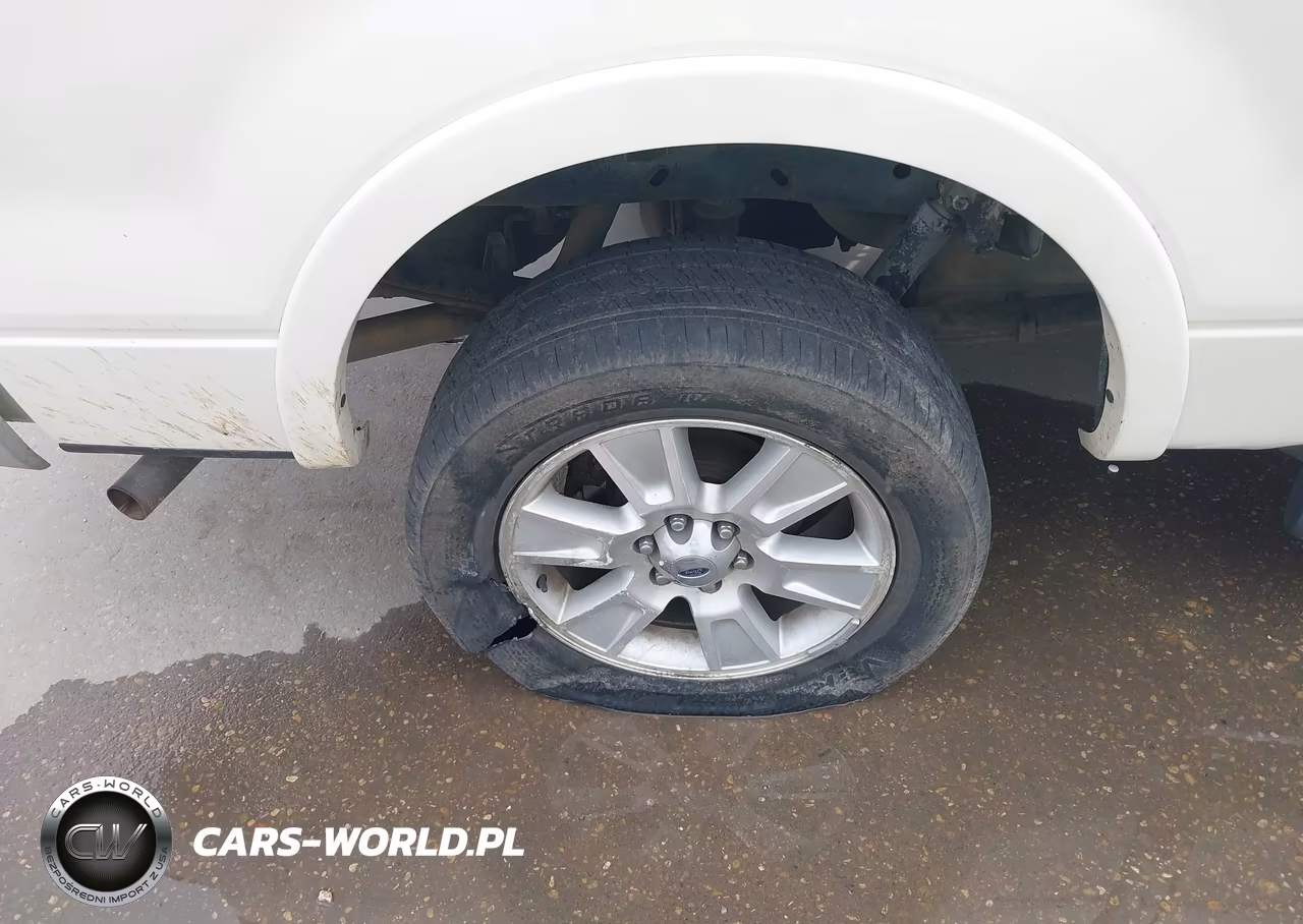 2007 Ford F-150 Fx4-Lariat-Xlt VIN:1FTPW14547FB38009 - 18