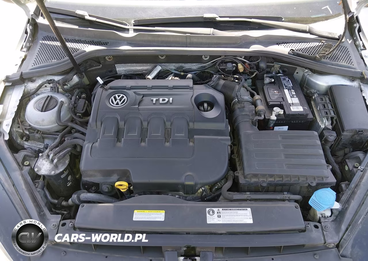 2015 Volkswagen Golf Sportwagen Tdi S 4-Door VIN:3VWCA7AU3FM511130 - 10