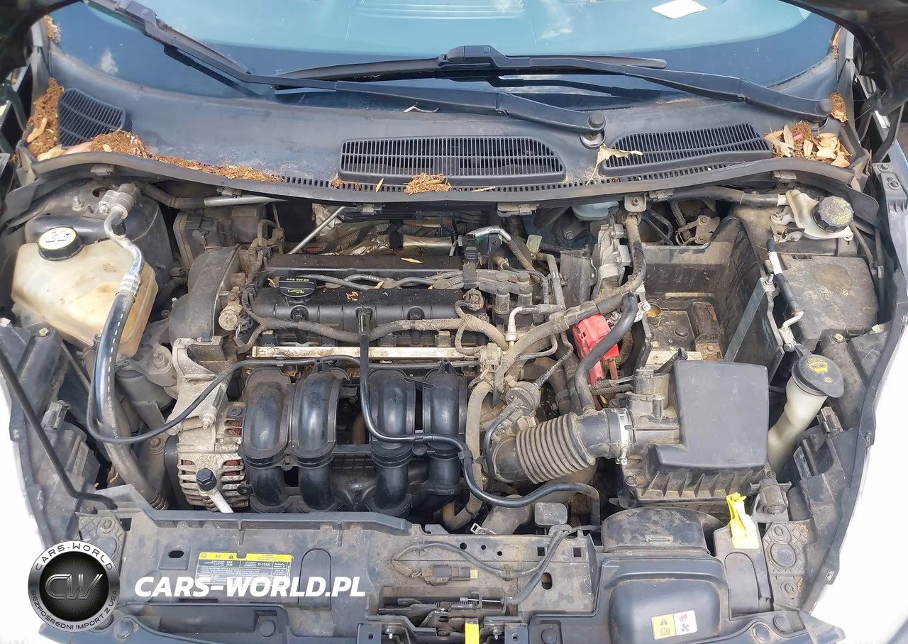 2011 Ford Fiesta Se VIN:3FADP4EJ0BM174517 - 10