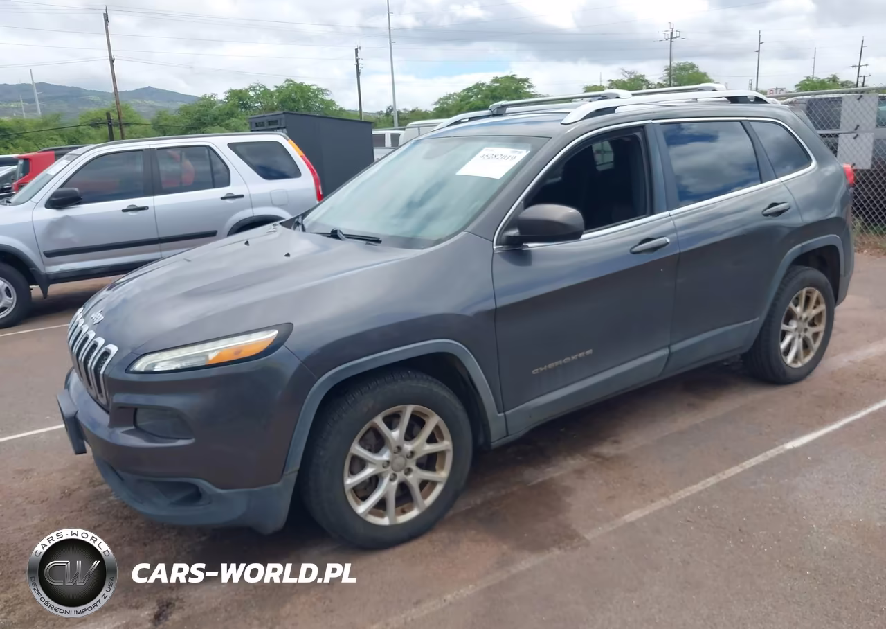 2014 Jeep Cherokee Latitude VIN:1C4PJLCS3EW299871 - 2