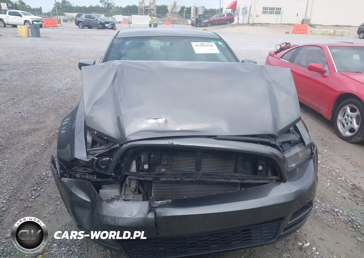 2014 Ford Mustang V6 Premium VIN:1ZVBP8AM9E5300261 - 13