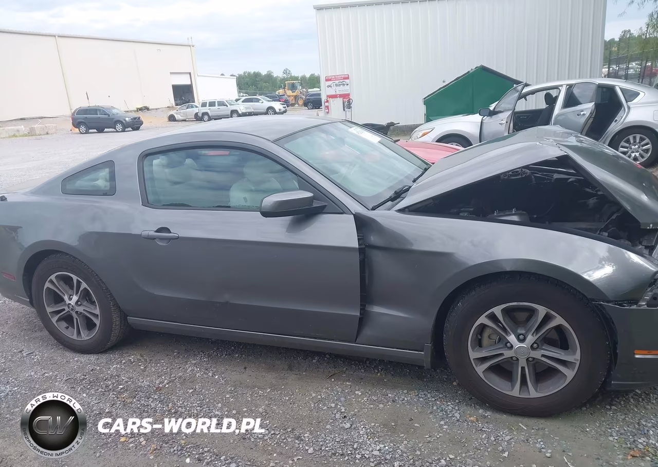 2014 Ford Mustang V6 Premium VIN:1ZVBP8AM9E5300261 - 14