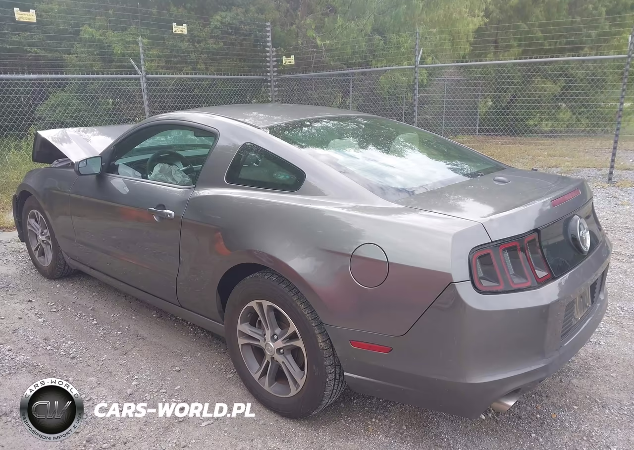2014 Ford Mustang V6 Premium VIN:1ZVBP8AM9E5300261 - 15