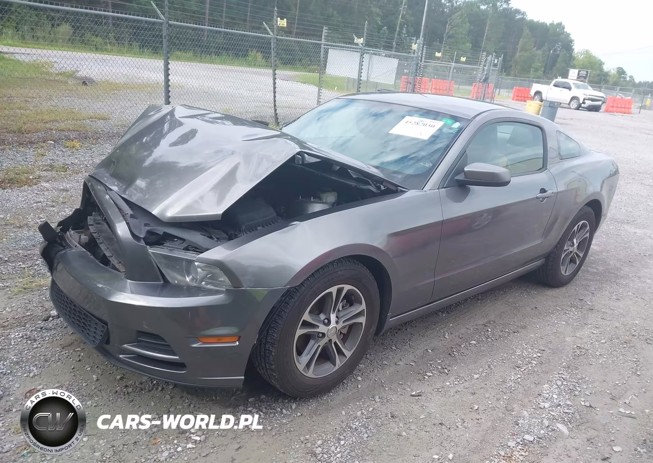 2014 Ford Mustang V6 Premium VIN:1ZVBP8AM9E5300261 - 2