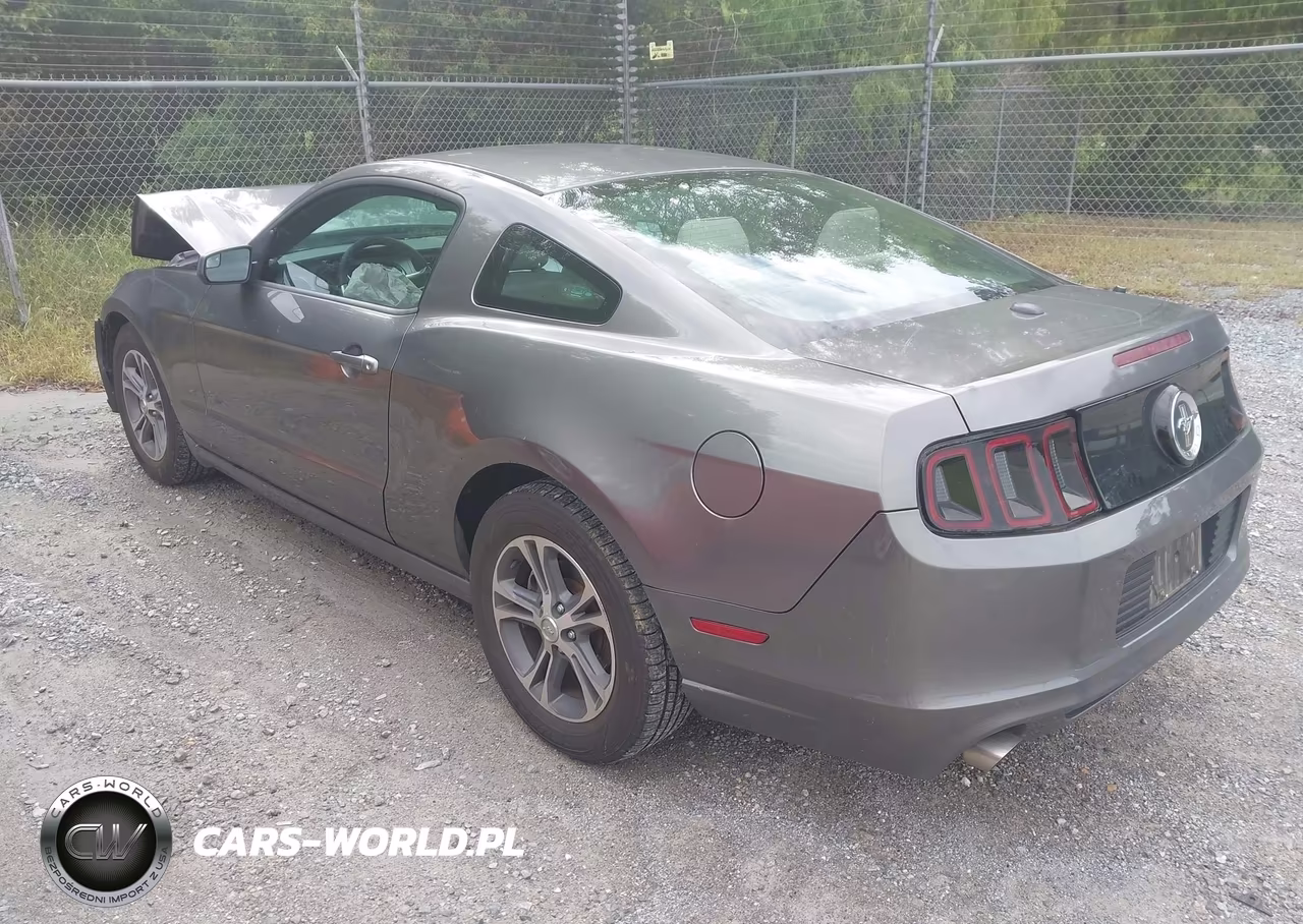2014 Ford Mustang V6 Premium VIN:1ZVBP8AM9E5300261 - 3