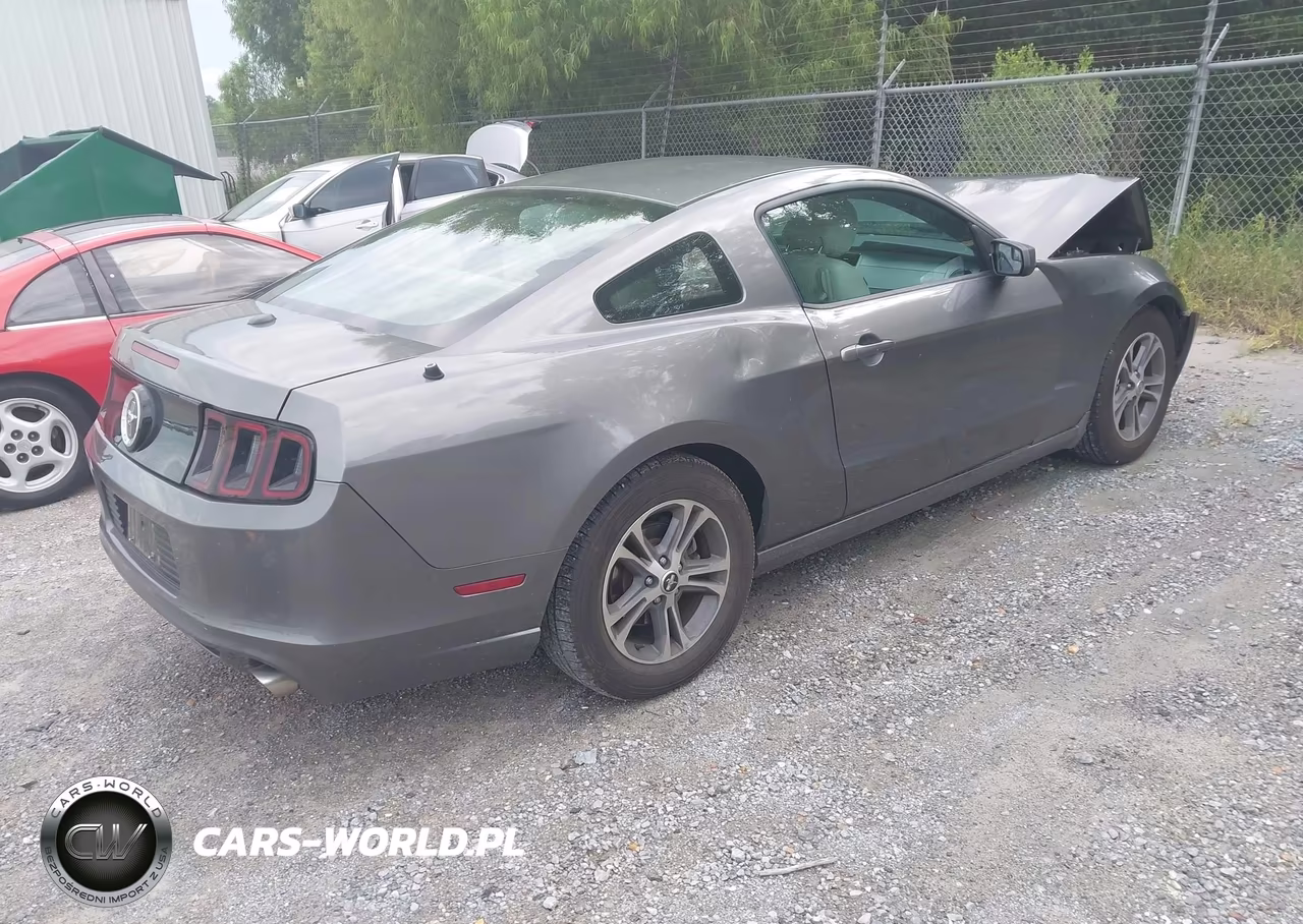 2014 Ford Mustang V6 Premium VIN:1ZVBP8AM9E5300261 - 4