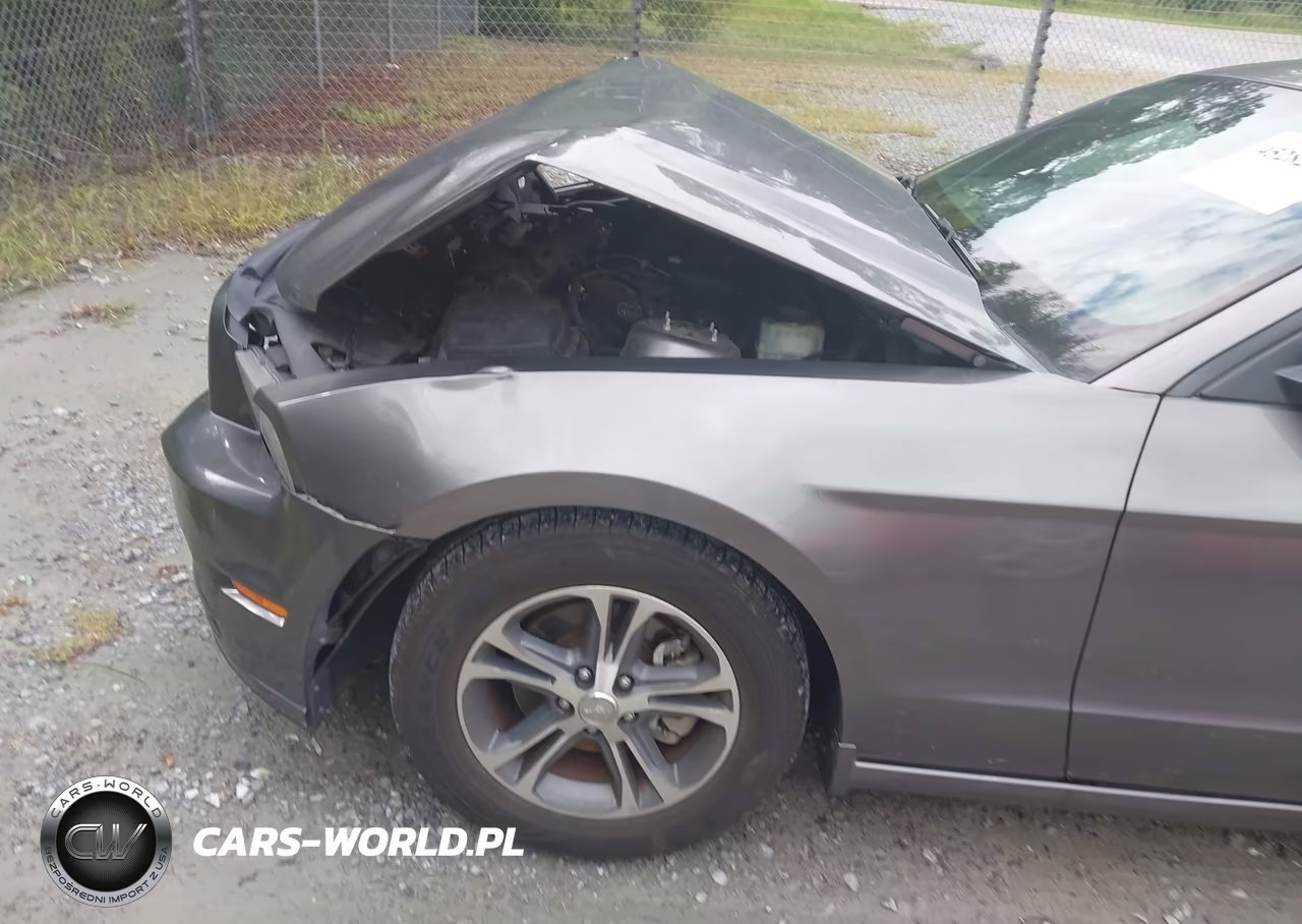2014 Ford Mustang V6 Premium VIN:1ZVBP8AM9E5300261 - 6