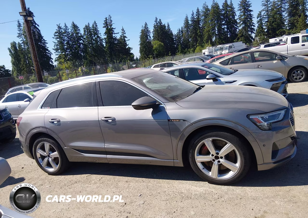 2019 Audi E-Tron Premium Plus VIN:WA1LABGE5KB021273 - 13