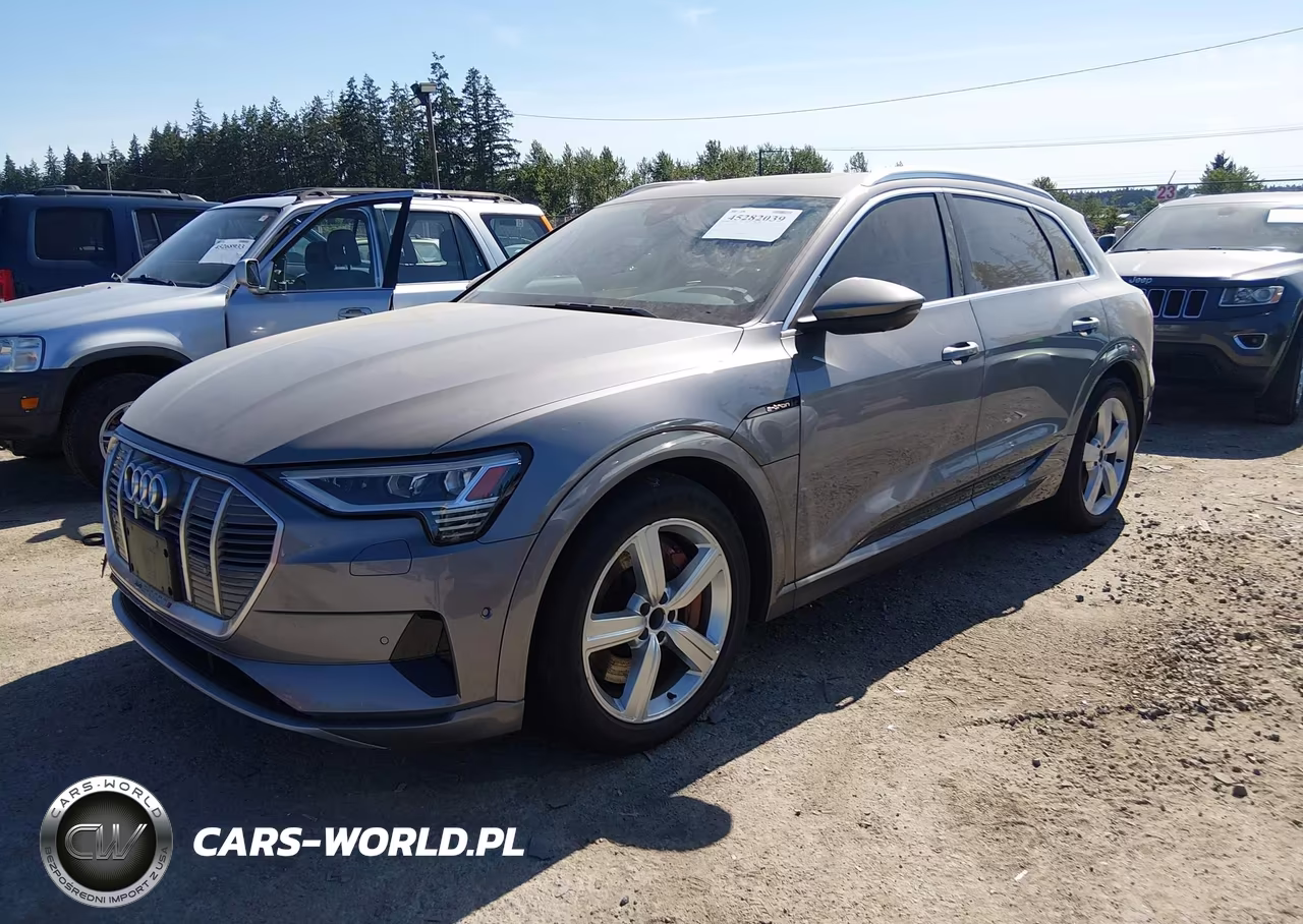 2019 Audi E-Tron Premium Plus VIN:WA1LABGE5KB021273 - 2