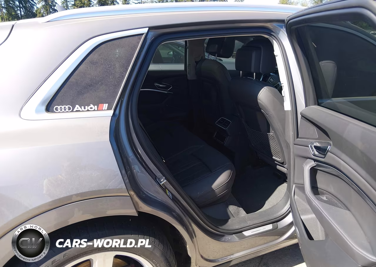 2019 Audi E-Tron Premium Plus VIN:WA1LABGE5KB021273 - 8