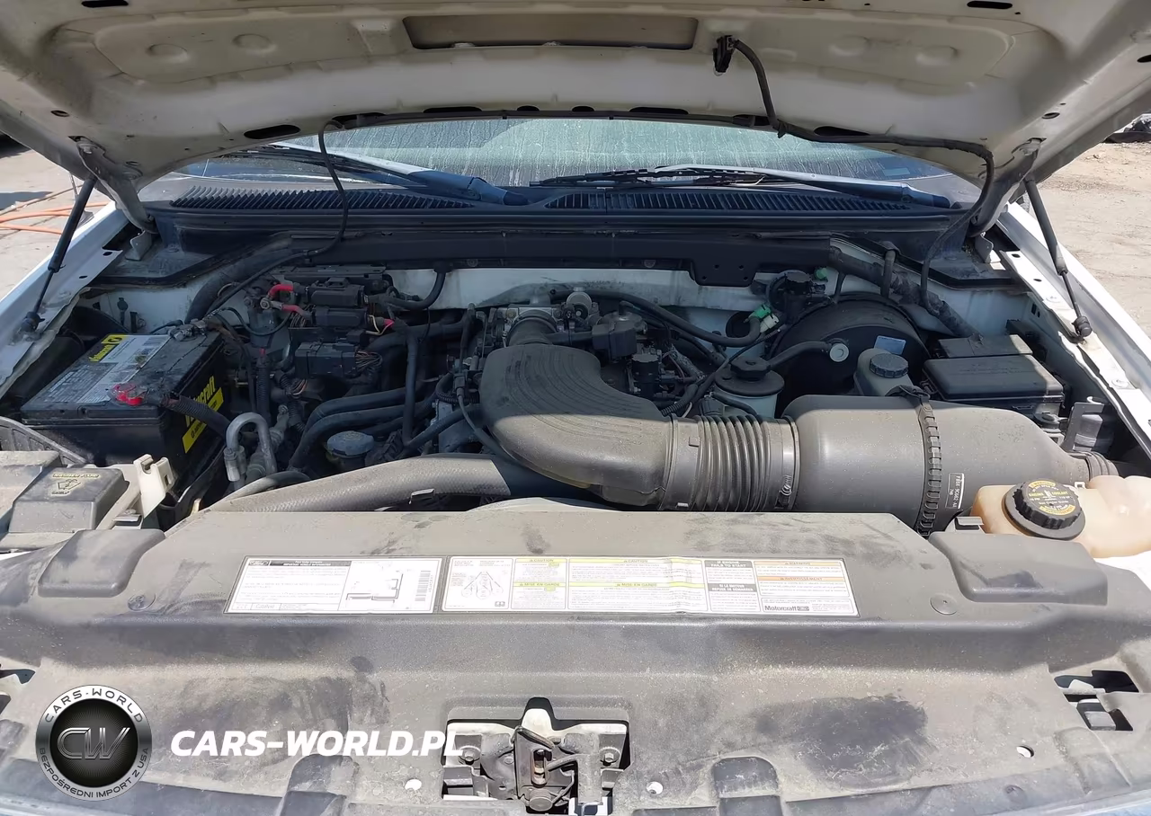 1998 Ford Expedition Eddie Bauer-Xlt VIN:1FMEU176XWLA13514 - 10
