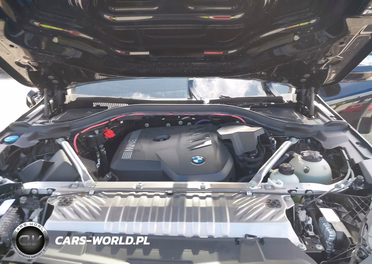 2025 BMW X3 30 xDrive VIN:5UX53GP00S9Z65109 - 10