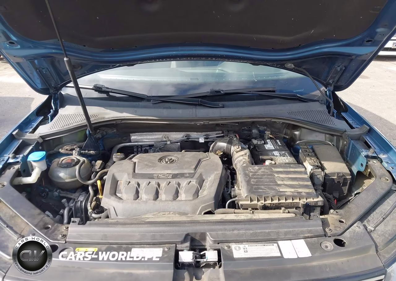 2019 Volkswagen Tiguan 2.0T S VIN:3VV1B7AX7KM141765 - 10