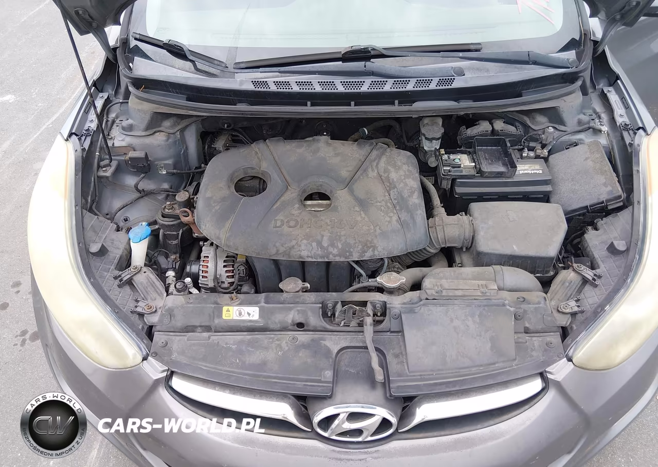2013 Hyundai Elantra Limited VIN:5NPDH4AE6DH244370 - 10