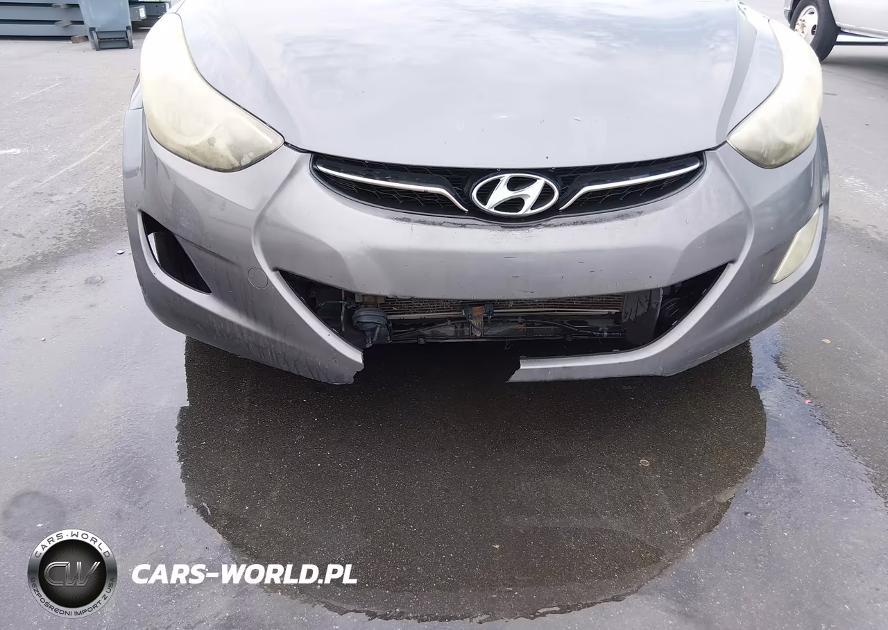2013 Hyundai Elantra Limited VIN:5NPDH4AE6DH244370 - 6