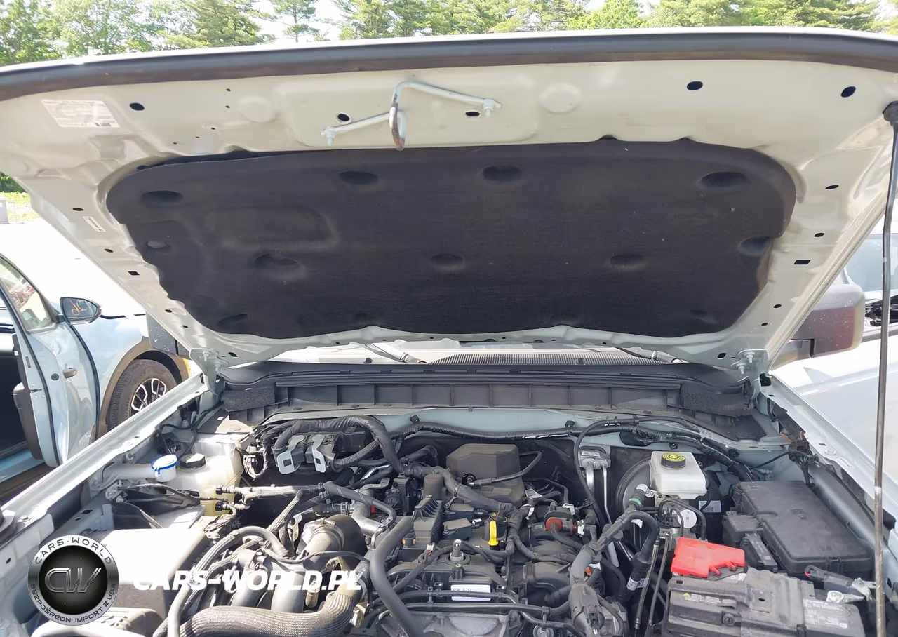 2024 Ford Bronco Big Bend VIN:1FMDE7AH4RLA95931 - 10