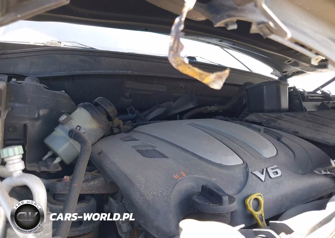 2010 Hyundai Santa Fe Limited V6 VIN:5NMSKDAG9AH354073 - 10