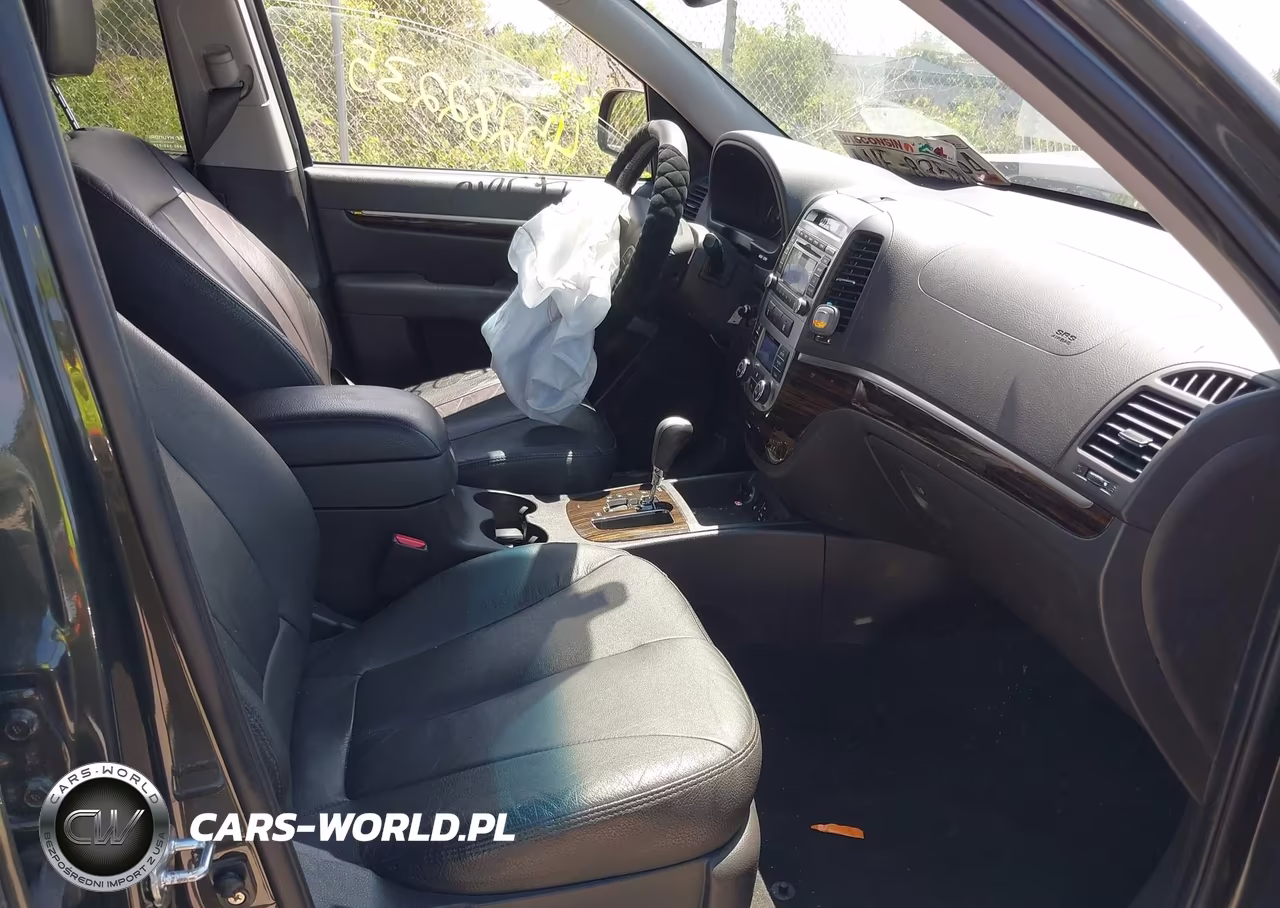 2010 Hyundai Santa Fe Limited V6 VIN:5NMSKDAG9AH354073 - 5