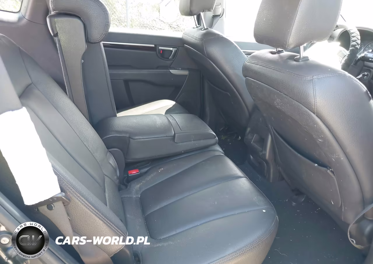 2010 Hyundai Santa Fe Limited V6 VIN:5NMSKDAG9AH354073 - 8