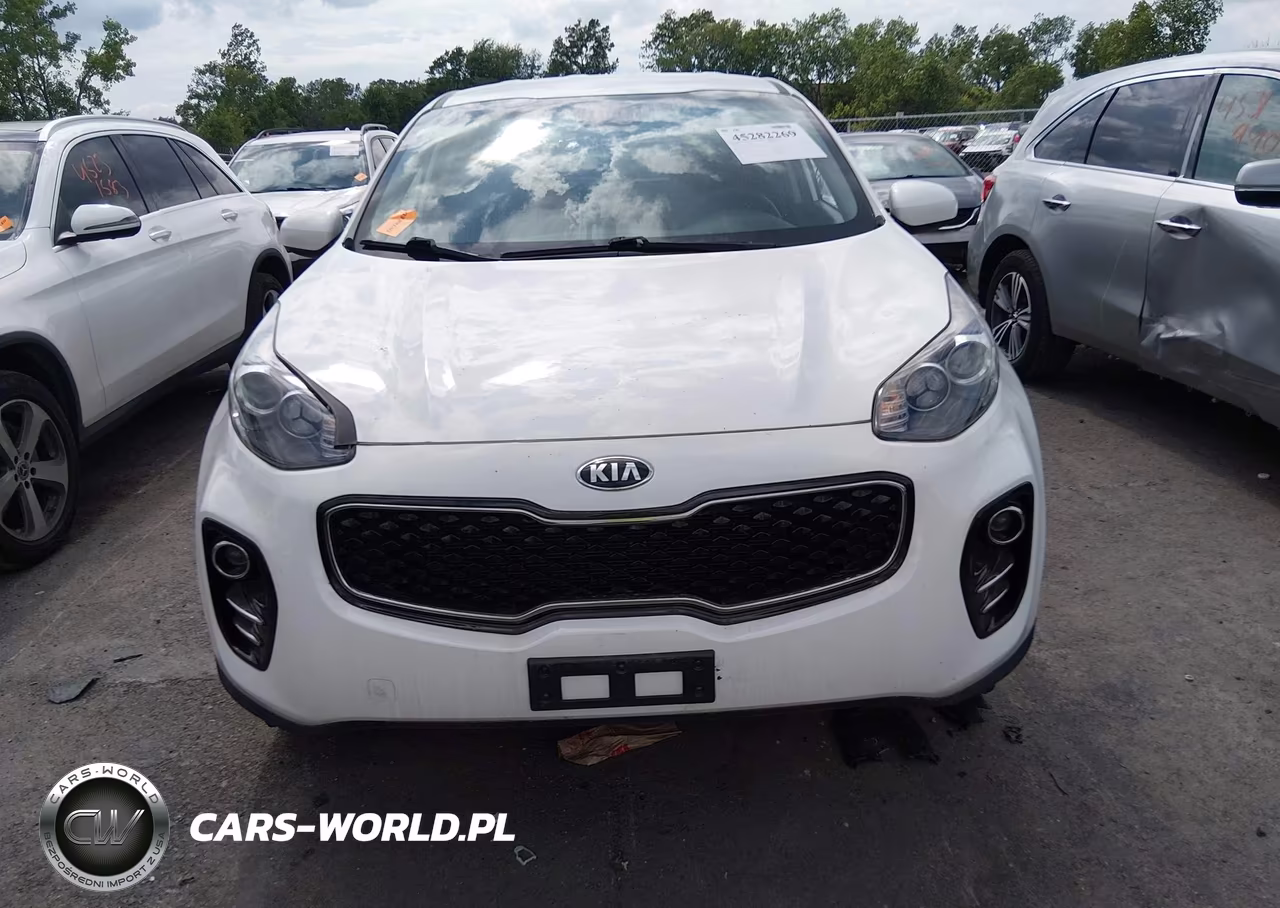 2019 Kia Sportage Lx VIN:KNDPMCAC4K7565794 - 11