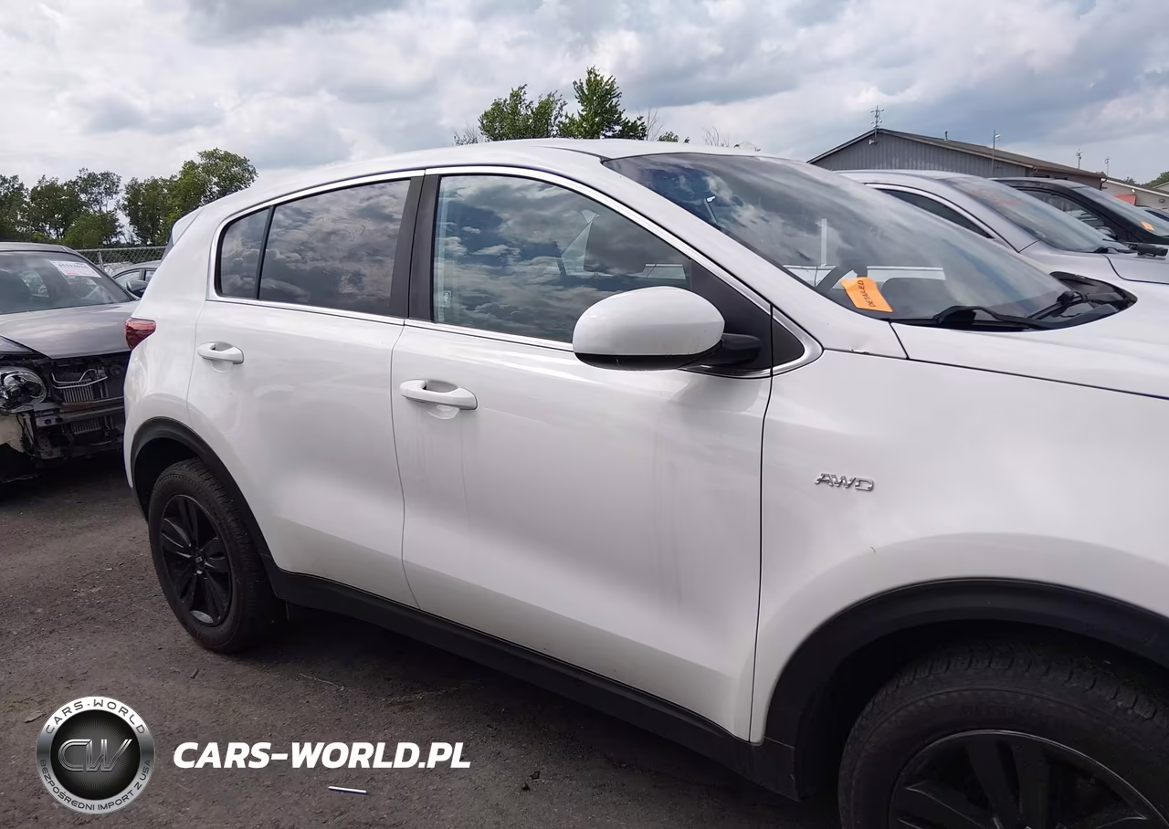 2019 Kia Sportage Lx VIN:KNDPMCAC4K7565794 - 12